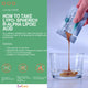 alpha lipoic acid supplement