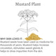 100% Natural Mustard Bath 480g - Barefoot Venus Vitamins/Supplements Barefoot Venus 