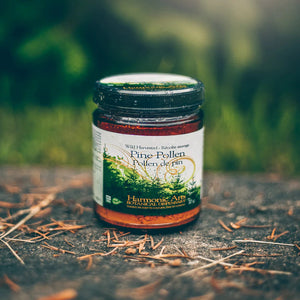 Pine Pollen - 70g Vitamins/Supplements LivLong 